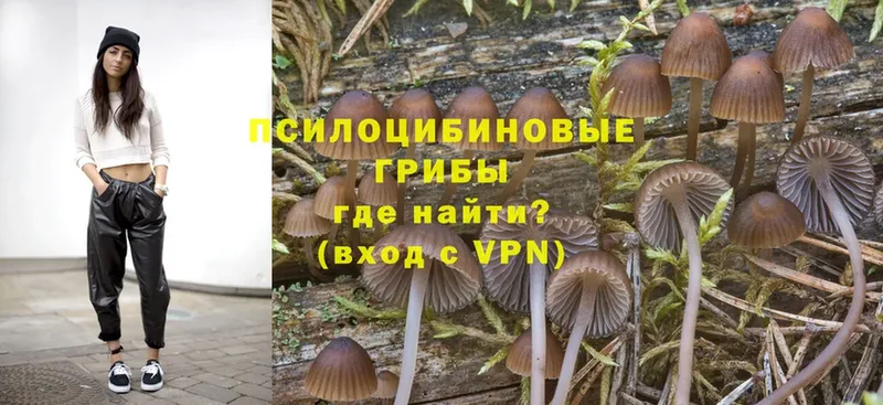 Галлюциногенные грибы MAGIC MUSHROOMS Кулебаки